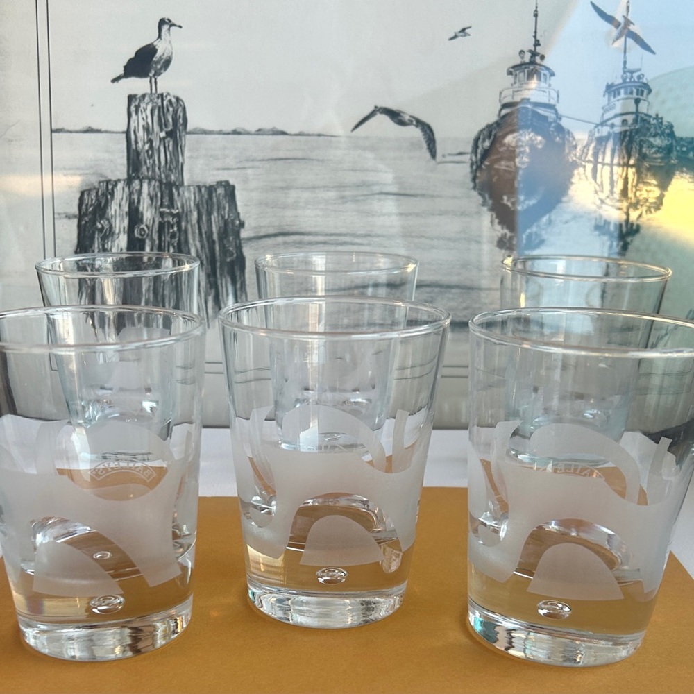 Bailey's Irish Cream Etched Frosted Bubble Heavy Base Cocktail Glass SET OF 6